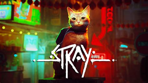 Play Stray .